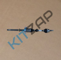 ������ �������� ������ ���� � �����