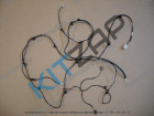 ���� �������� ������� Wingle